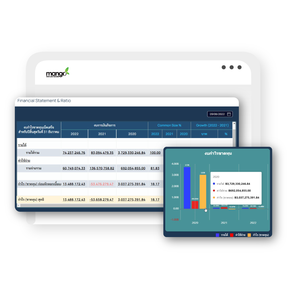 Content 1_Pic รายงานงบการเงินและอัตราส่วนทางการเงิน